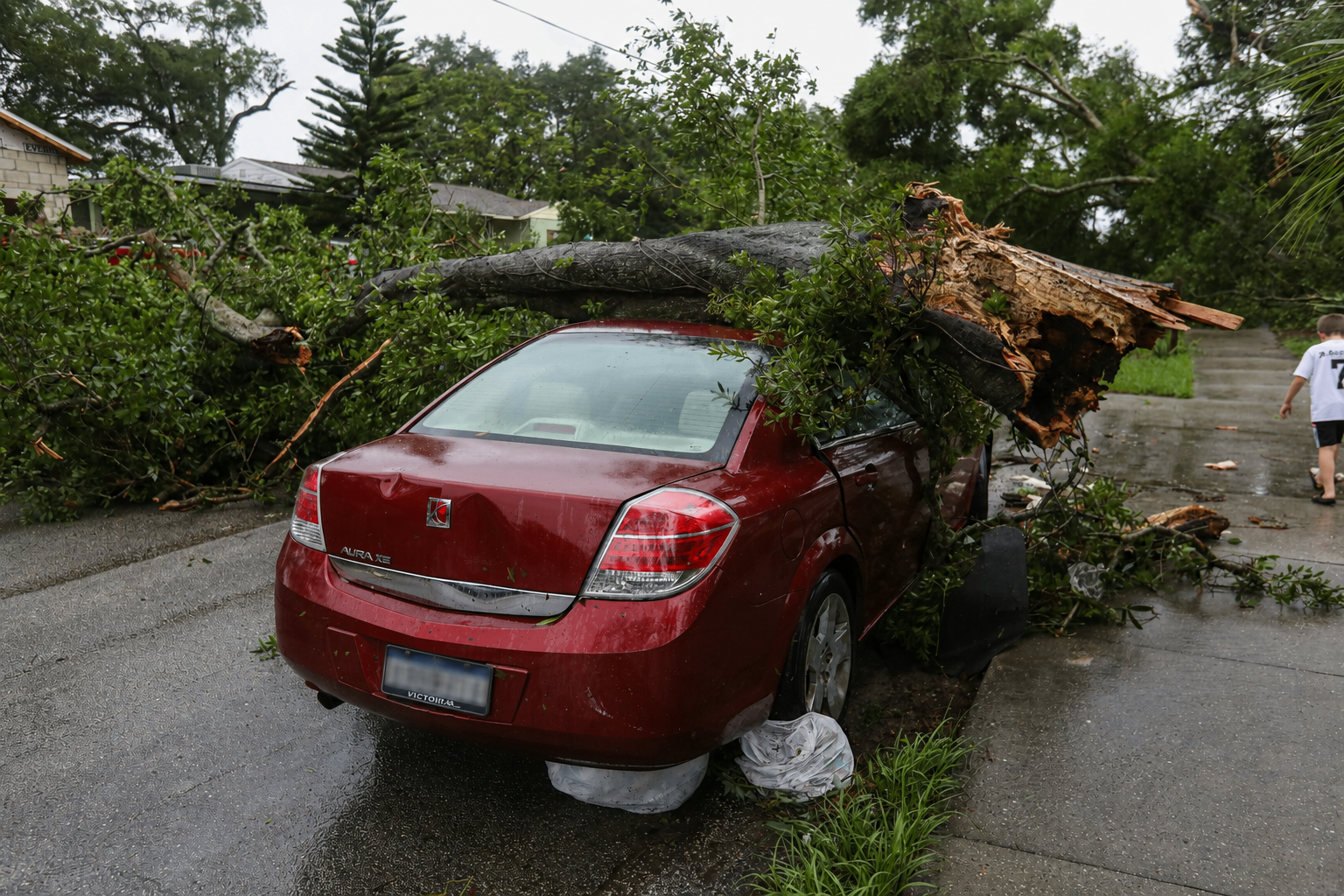 Emergency Tree Work